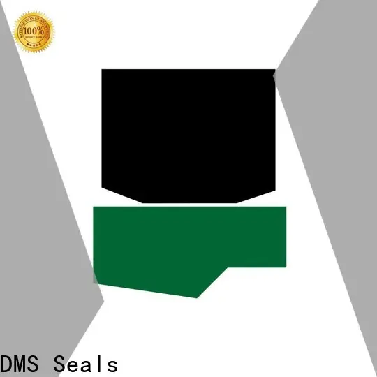 DMS Seals hydraulic motor seal kit factory for pressure work and sliding high speed occasions 1