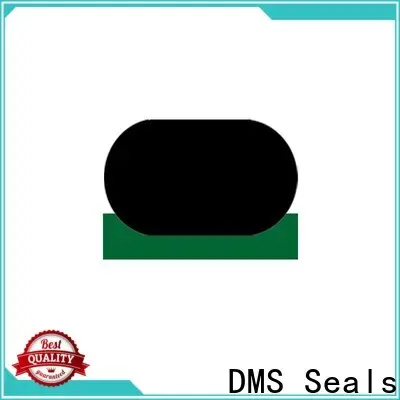DMS Seals best cylinder rod wiper factory for sale 1