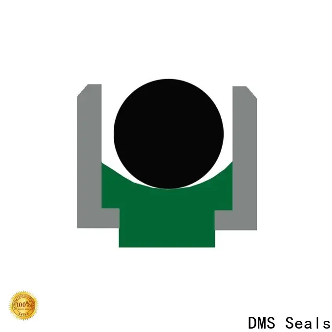 DMS Seals high end buffer seal hydraulic for pressure work and sliding high speed occasions 1