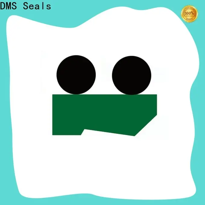 DMS Seals Latest wiper seal design guide cost for injection molding machines 1