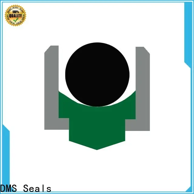 DMS Seals metric lip seals wholesale for automotive equipment 1