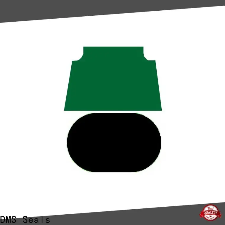 DMS Seals hydraulic valve seals supply for pneumatic equipment 1