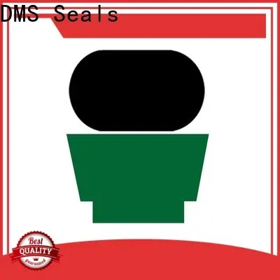 DMS Seals Latest pneumatic seals factory to high and low speed 1