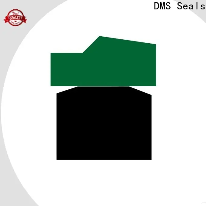 DMS Seals New rod seal catalogue factory for sale 1