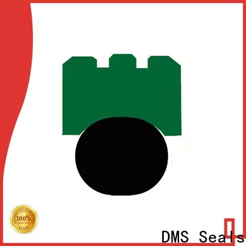 DMS Seals Custom propeller shaft seals marine company for automotive equipment 1