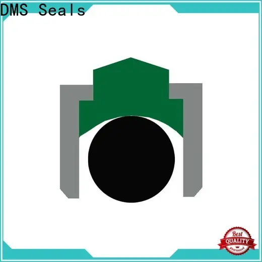 DMS Seals rotating water seal vendor for construction machinery 1