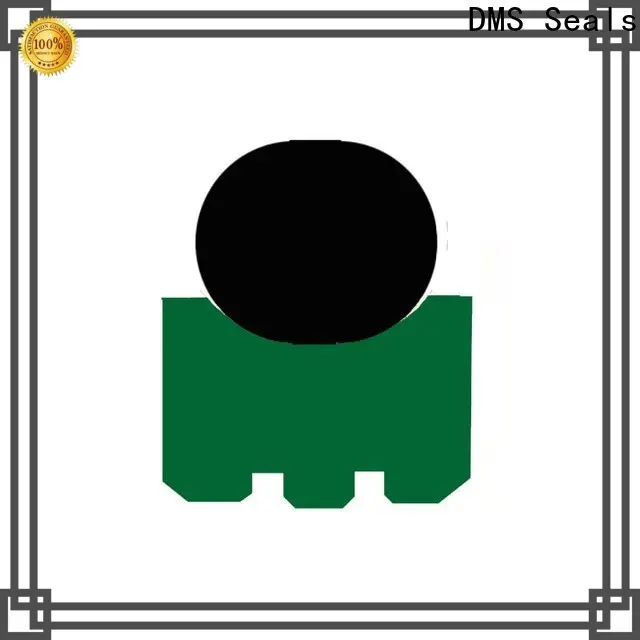 DMS Seals piston rotating shaft seal design manufacturer for construction machinery 1