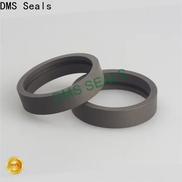 DMS Seals parallel roller bearing manufacturer for sale1 1