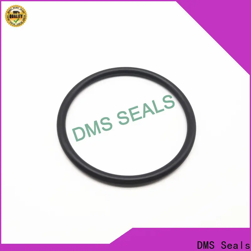 DMS Seals Best 6.5 inch o ring factory price in highly aggressive chemical processing 1