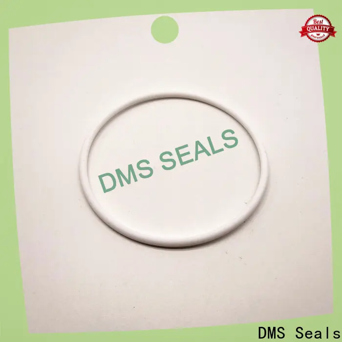 DMS Seals 19mm o ring company for sale 1
