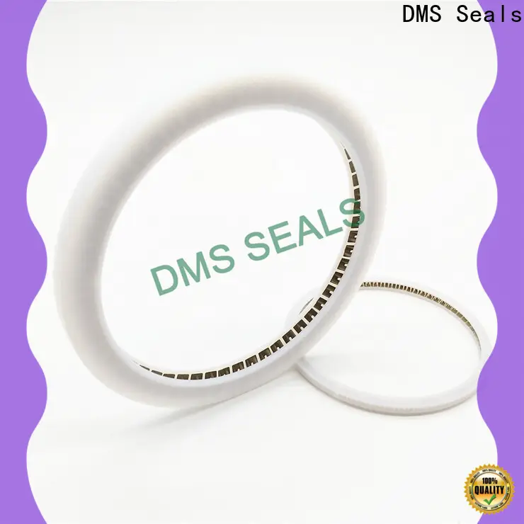 Top spring loaded oil seal wholesale for aviation 1