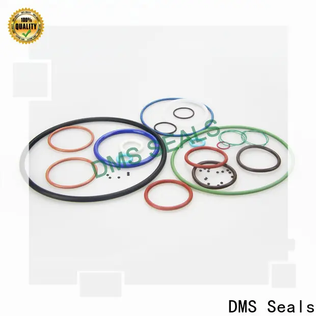 High-quality custom made seal rings cost in highly aggressive chemical processing 1