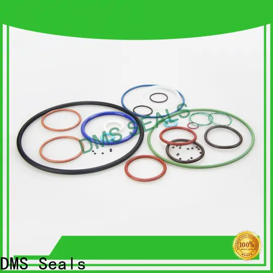 DMS Seals nitrile rubber o rings plumbing factory price in highly aggressive chemical processing 1