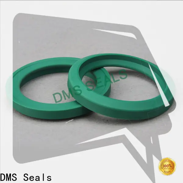 DMS Seals Customized seal caps manufacturer company for larger piston clearance 1
