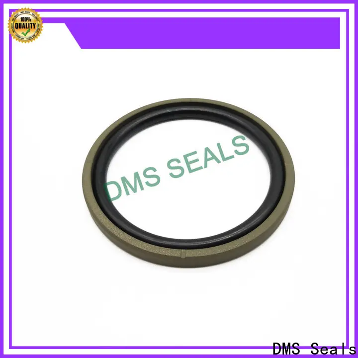 DMS Seals hydraulic seals companies factory for pneumatic equipment 1