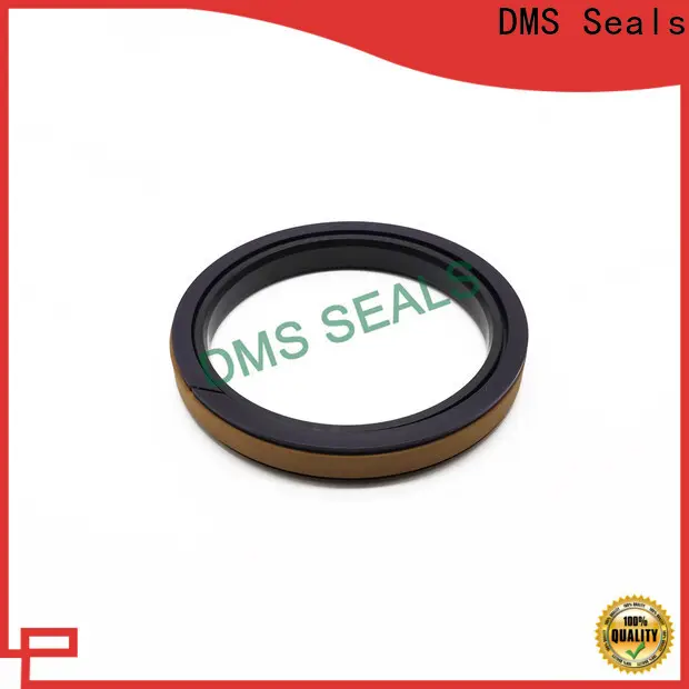 DMS Seals seals for hydraulic pumps price for light and medium hydraulic systems 1