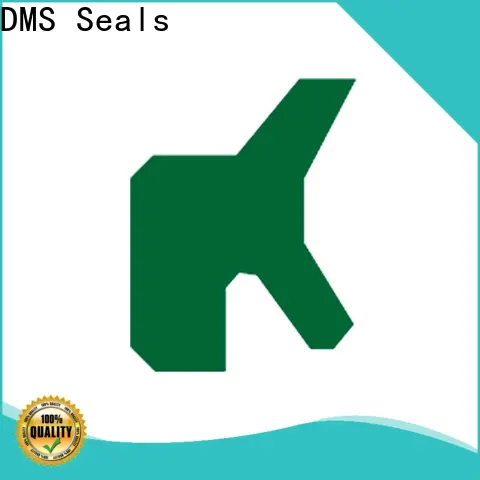 DMS Seals hydraulic cylinder piston design vendor for injection molding machines 1