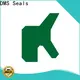 DMS Seals hydraulic cylinder piston design vendor for injection molding machines 1