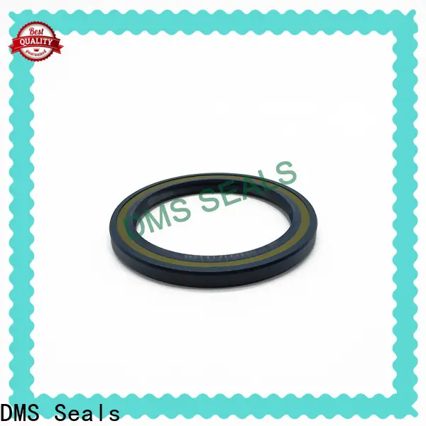 DMS Seals lip seal o ring factory for housing 1