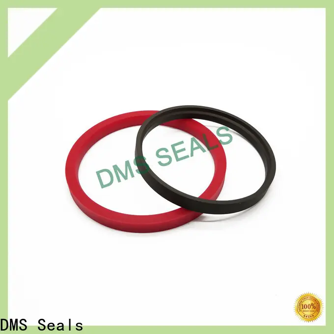 DMS Seals Bulk oil seal manufacturers in china company 1