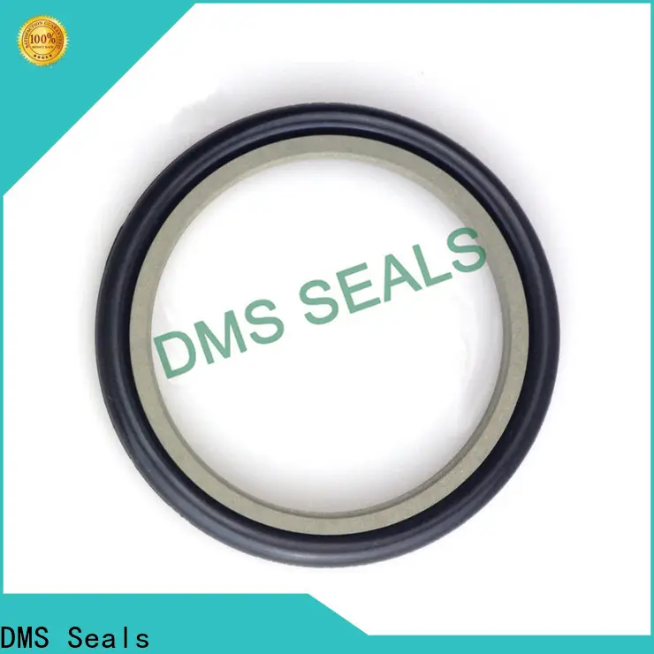 Professional molded seals supply for larger piston clearance 1