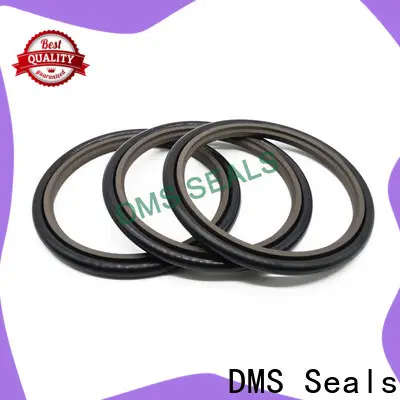 DMS Seals hydraulic oil seal manufacturers supply for larger piston clearance 1