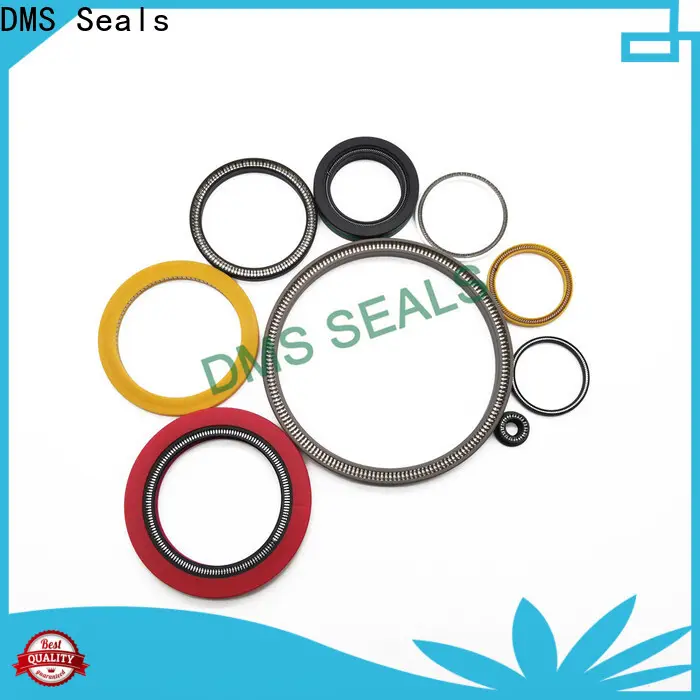 New energized seal wholesale for valves 1