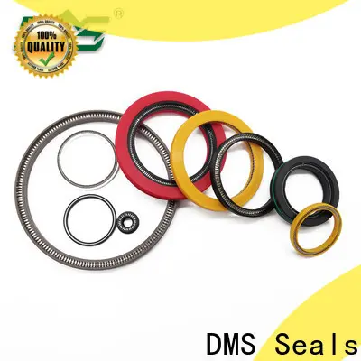 DMS Seals Buy spring energised seal price for fracturing 1