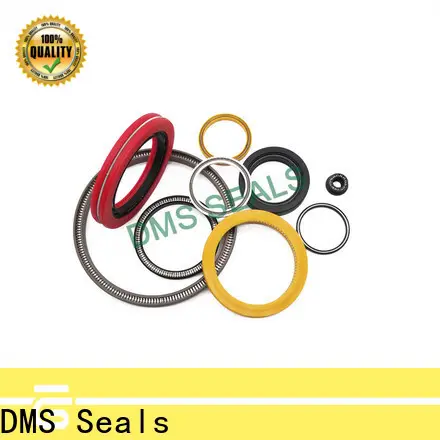 DMS Seals Best spring energised seal wholesale for acidizing 1