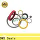 DMS Seals Best spring energised seal wholesale for acidizing 1