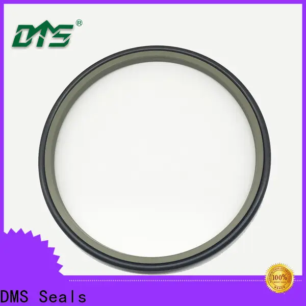 DMS Seals cylinder wiper seal vendor for hydraulic cylinder 1
