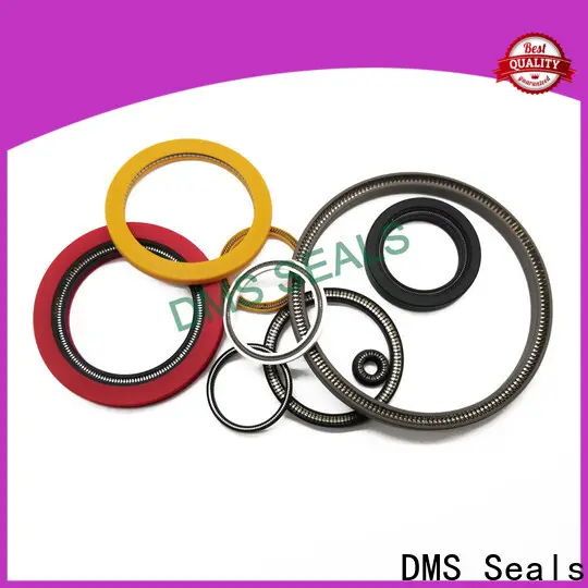 DMS Seals energized seal factory price for acidizing 1