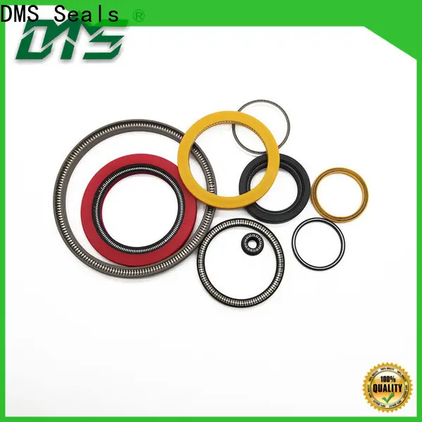 DMS Seals energized seal supplier for valves 1