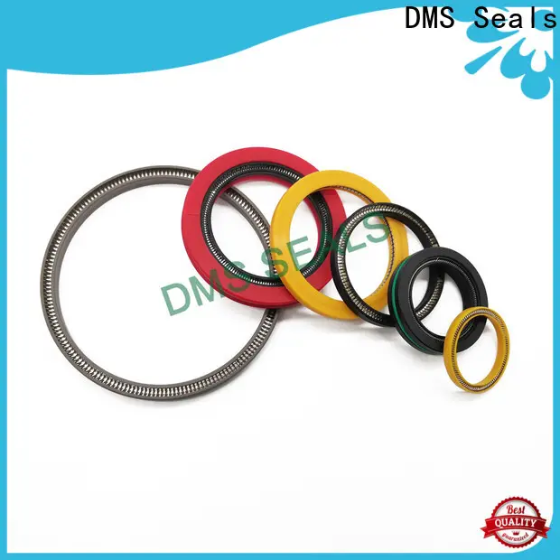 DMS Seals spring energized ptfe seal for acidizing 1
