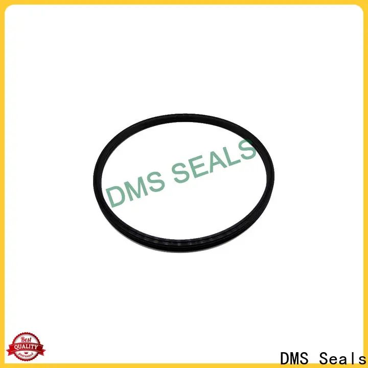 DMS Seals mechanical seal operation factory price for larger piston clearance 1