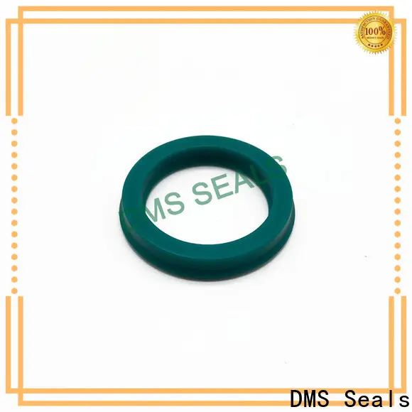 DMS Seals u seal manufacturers 1