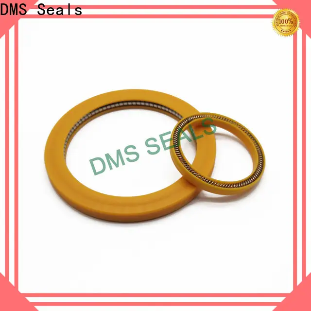 DMS Seals sic mechanical seal factory price for reciprocating piston rod or piston single acting seal 1
