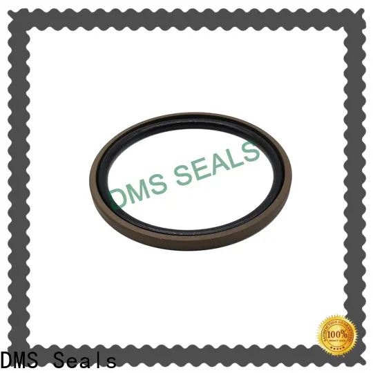 DMS Seals seals for air cylinders vendor for pressure work and sliding high speed occasions 1