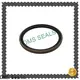 DMS Seals seals for air cylinders vendor for pressure work and sliding high speed occasions 1