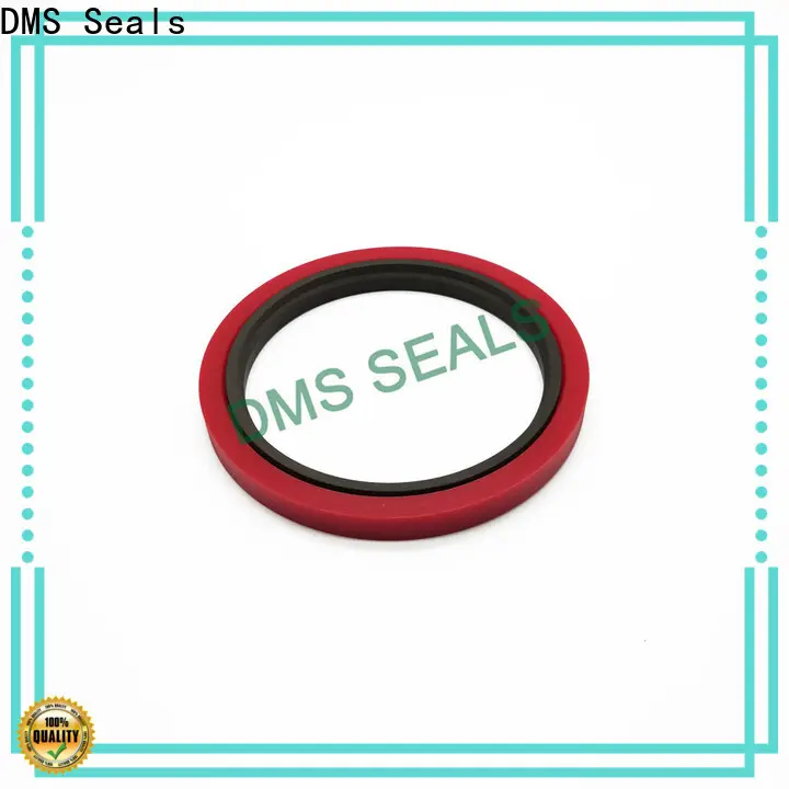 DMS Seals rubber seals for fluid and hydraulic systems factory to high and low speed 1