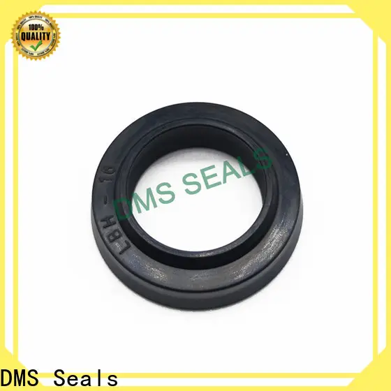DMS Seals bulb seal manufacturers for larger piston clearance 1