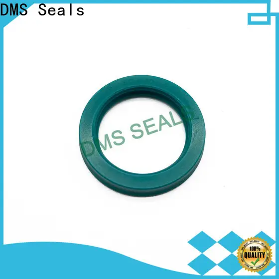 DMS Seals Best mechanical seal maintenance cost for piston and hydraulic cylinder 1
