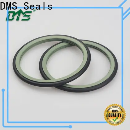 DMS Seals piston oil seal maker cost for construction machinery 1
