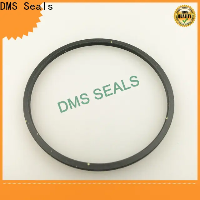DMS Seals crane mechanical seals company for larger piston clearance 1