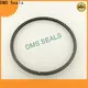 DMS Seals crane mechanical seals company for larger piston clearance 1