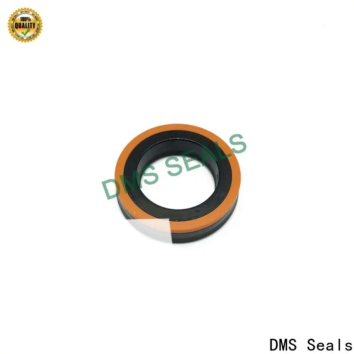 DMS Seals door seal extrusion cost for air bottle 1