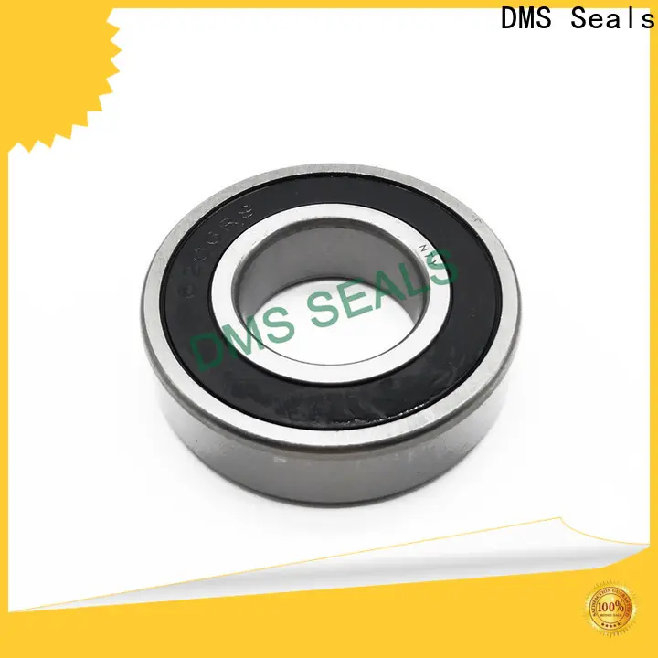 DMS Seals Quality seal kit manufacturer manufacturer for larger piston clearance 1