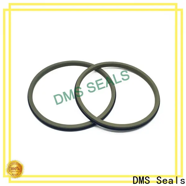 DMS Seals High-quality hydraulic cylinder piston design pdf manufacturer for injection molding machines 1