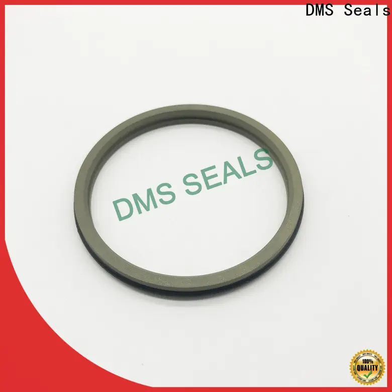 DMS Seals rod seal catalogue price for forklifts 1