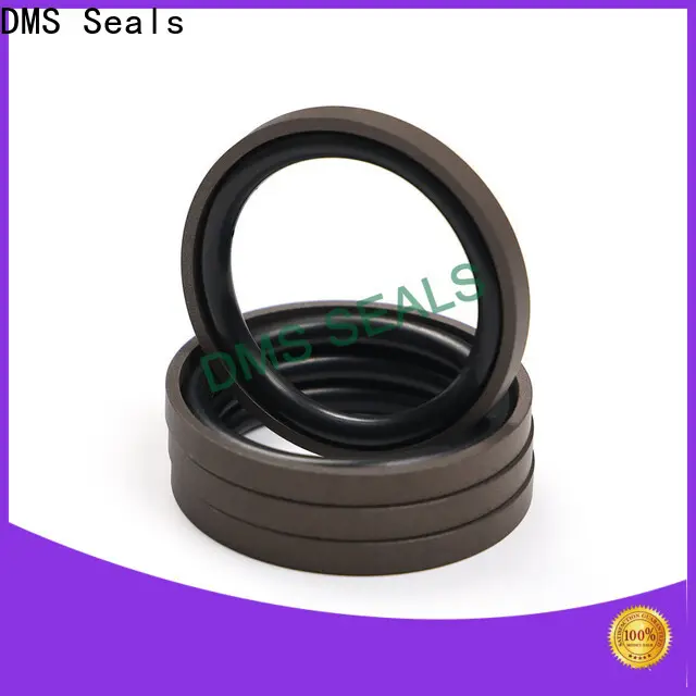 DMS Seals Top piston seal material factory price for sale 1